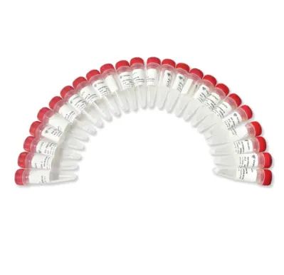 VAHTS RNA Adapters Set 8 for MGI