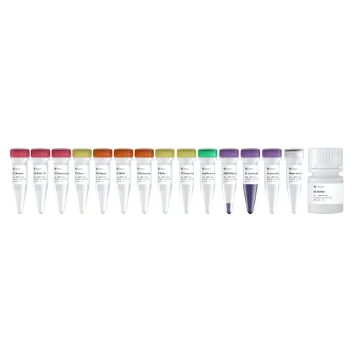 VAHTS Small RNA Library Prep Kit for Illumina V2
