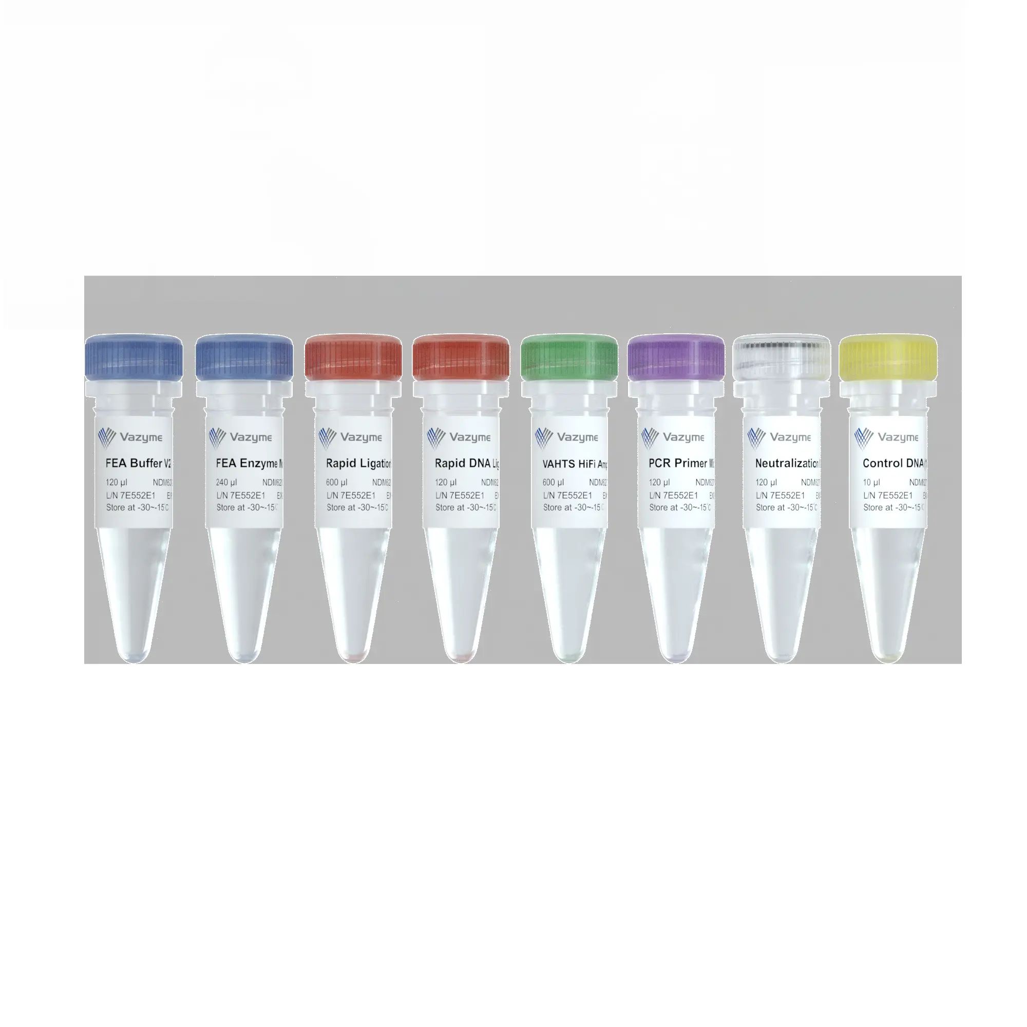 VAHTS Universal Plus DNA Library Prep Kit for MGI V2