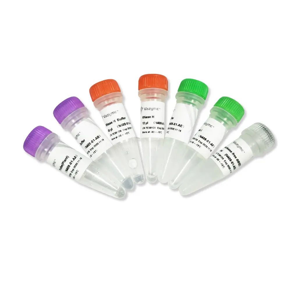 Ribo-off rRNA depletion kit (Plant)