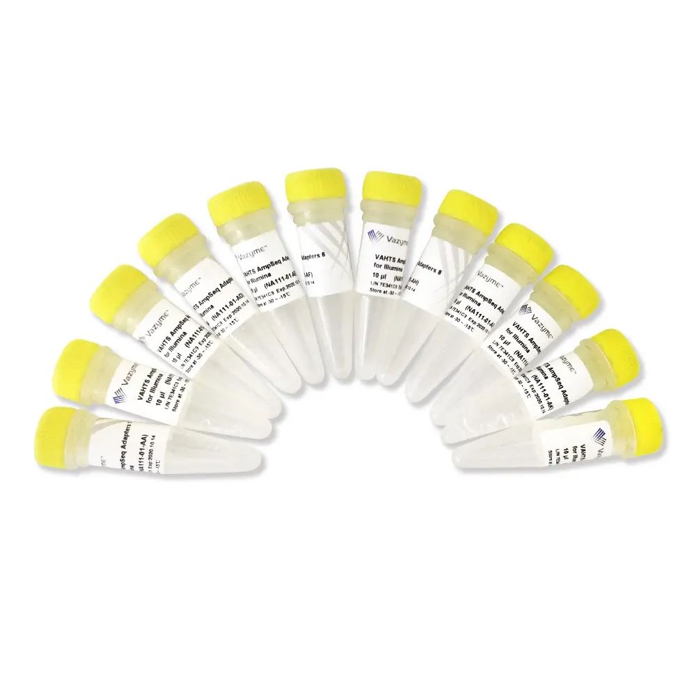 VAHTS AmpSeq Adapters for Illumina