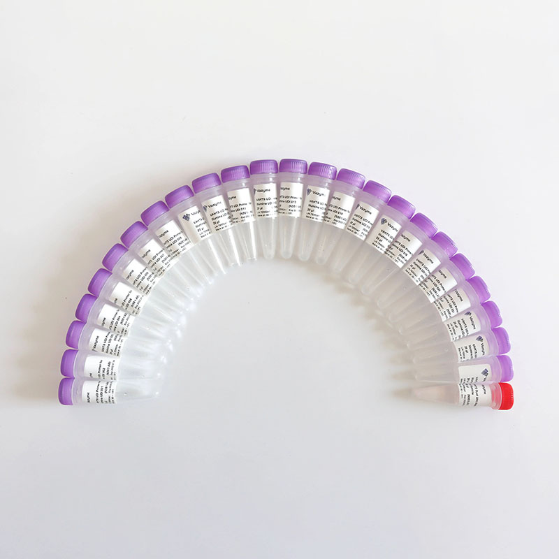 VAHTS Dual UMI UDI Adapters Set 1 - Set 4 for Illumina