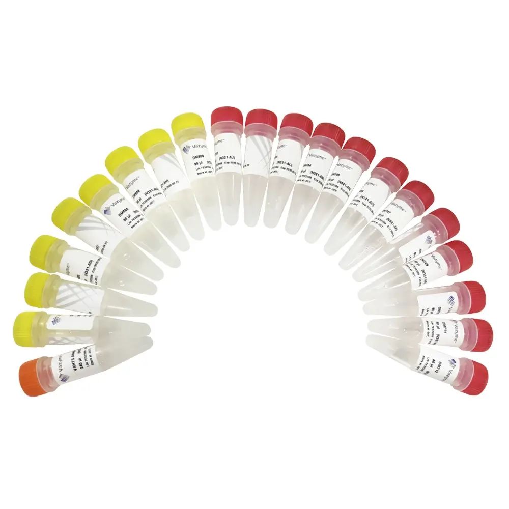 VAHTS Multiplex Oligos Set 4 for Illumina