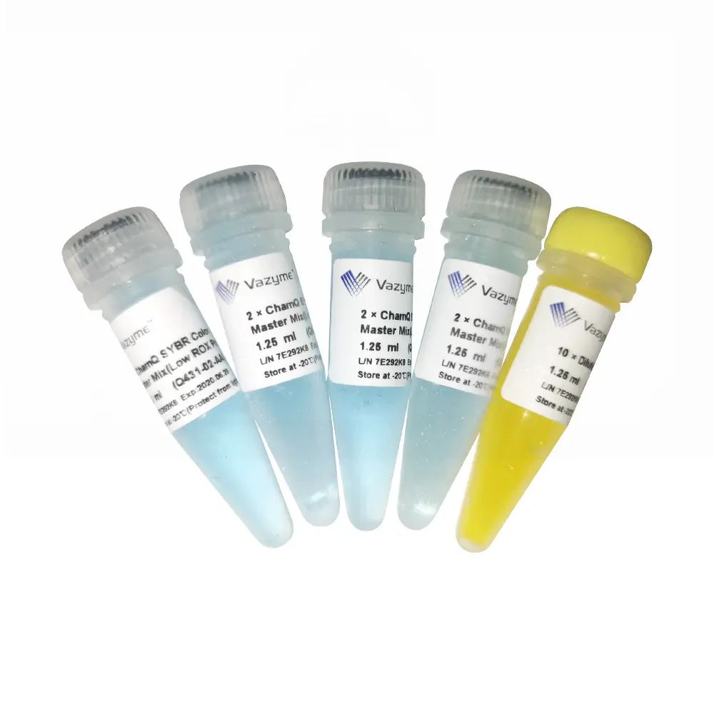 ChamQ SYBR Color qPCR Master Mix (Low ROX Premixed)