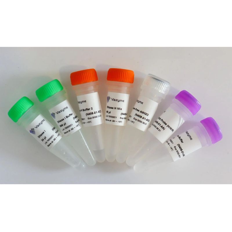 Ribo-off Globin & rRNA Depletion Kit (Human/Mouse/Rat)