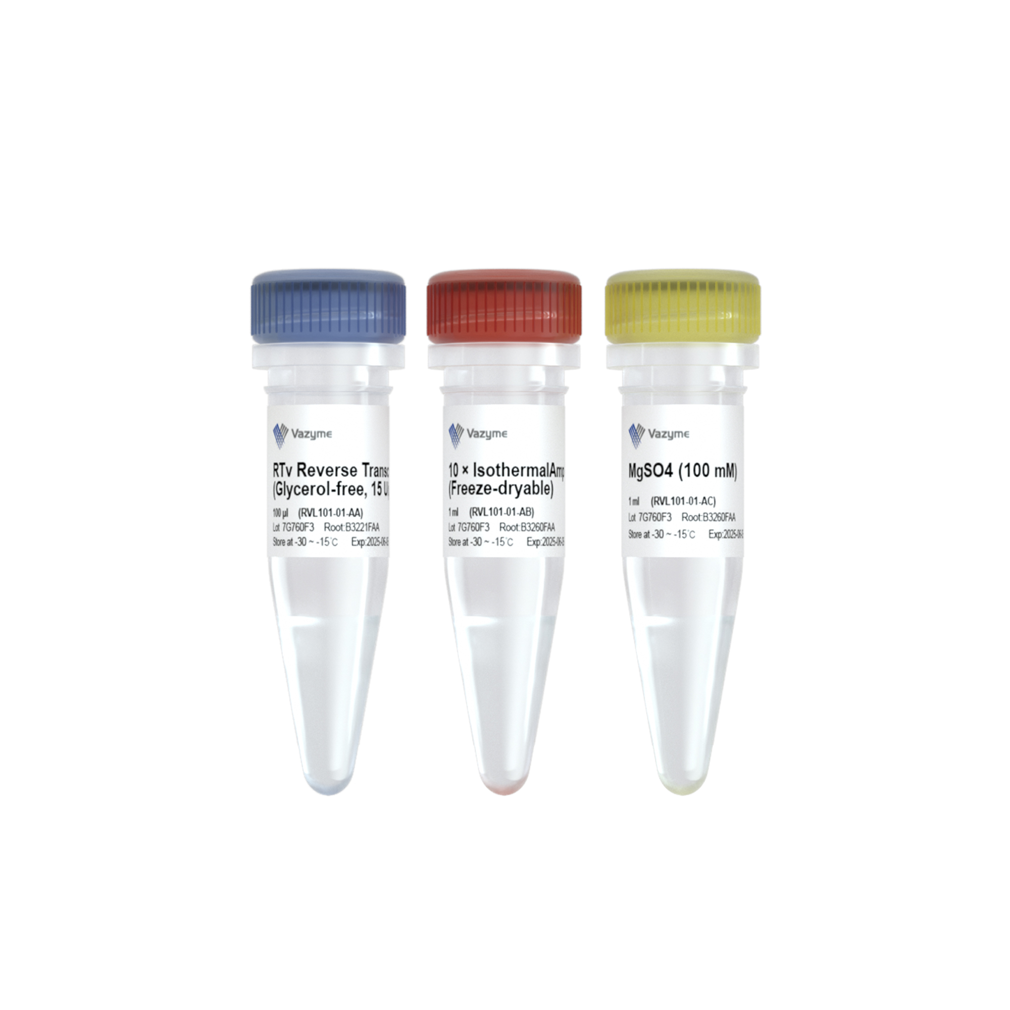 RTv Reverse Transcriptase (Glycerol-free)