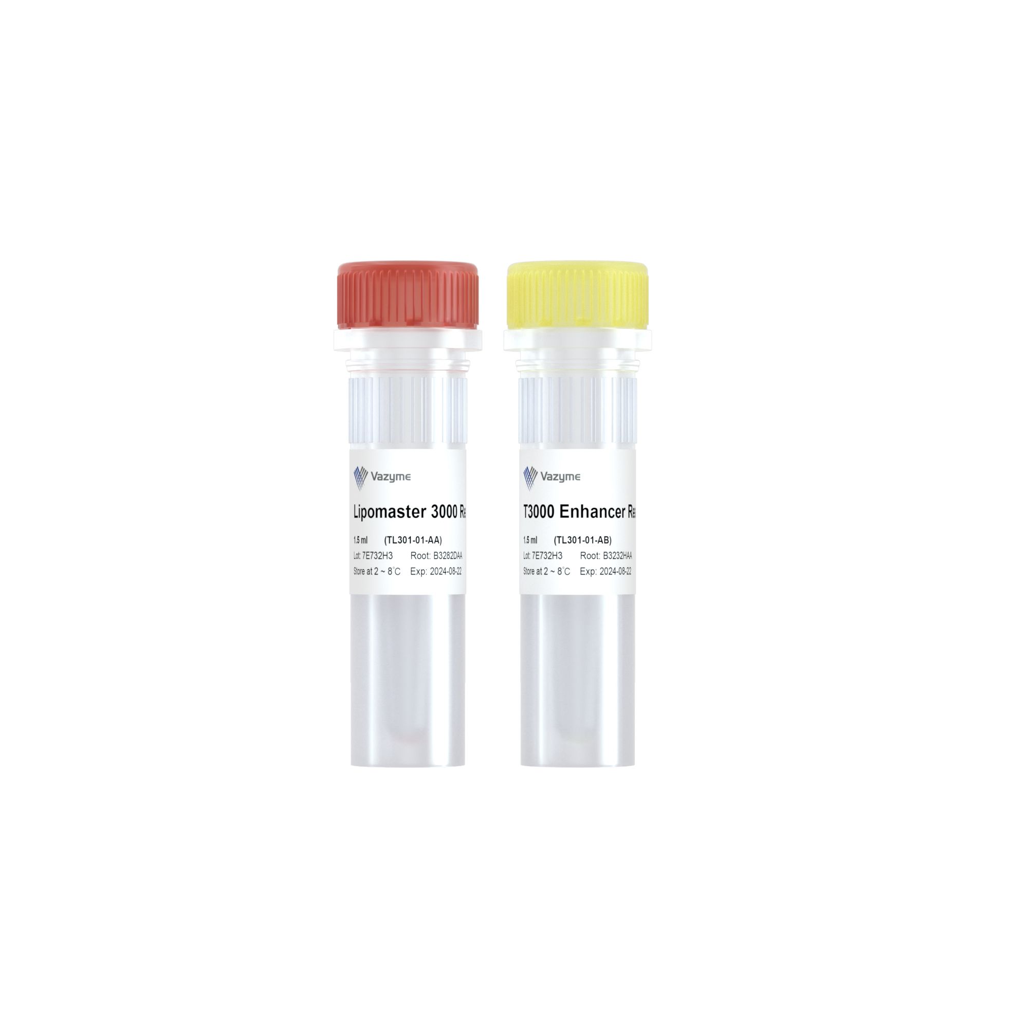 Lipomaster 3000 Transfection Reagent