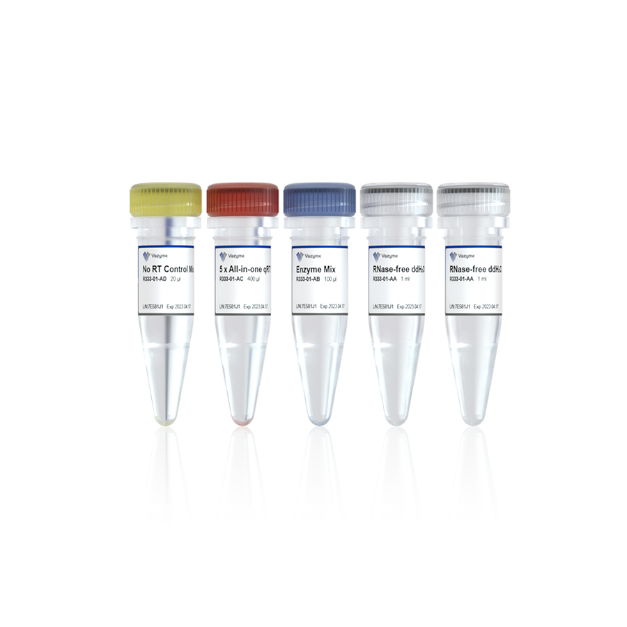 HiScript III All-in-one RT SuperMix Perfect for qPCR