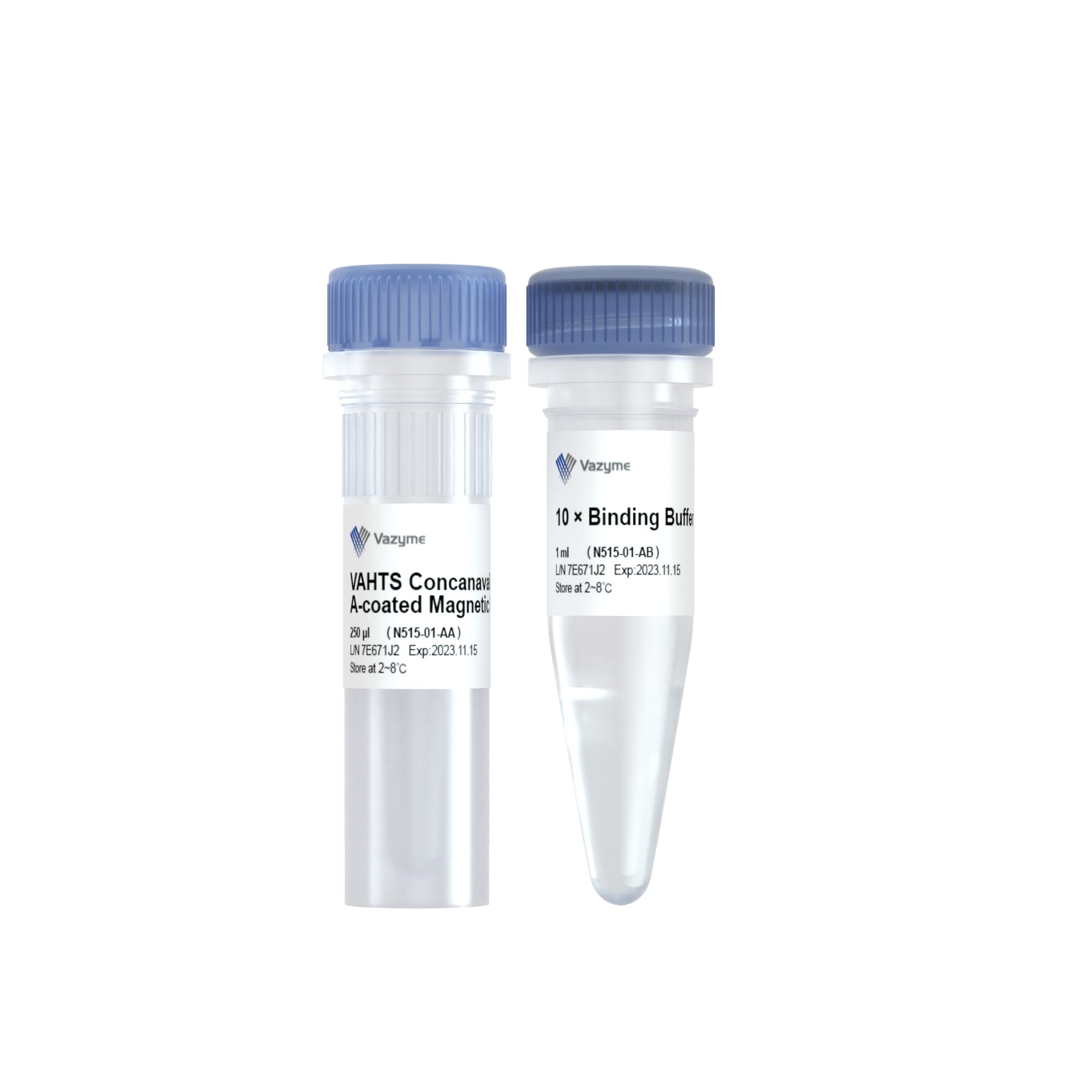 VAHTS Concanavalin A-coated Magnetic Beads Pro